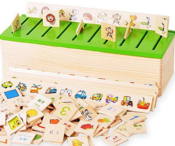 The Montessori Classification Box