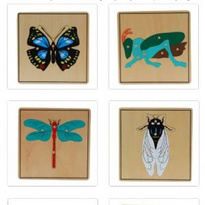 Puzzle Insectes en Bois